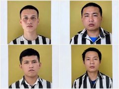 Ảnh bìa bài viết