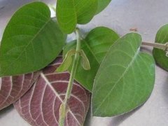 Đọc nhanh bài viết 1196825