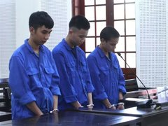 Đọc nhanh bài viết 1196868