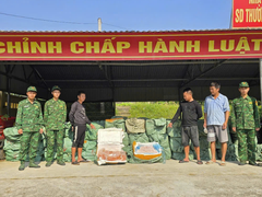 Đọc nhanh bài viết 1196974