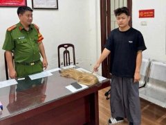 Đọc nhanh bài viết 1196997
