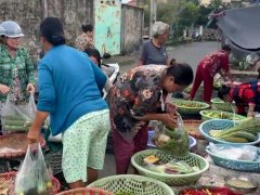 Đọc nhanh bài viết 1197090