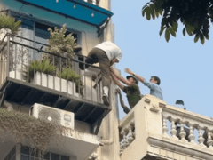 Đọc nhanh bài viết 1197438