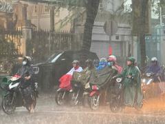 Đọc nhanh bài viết 1197638