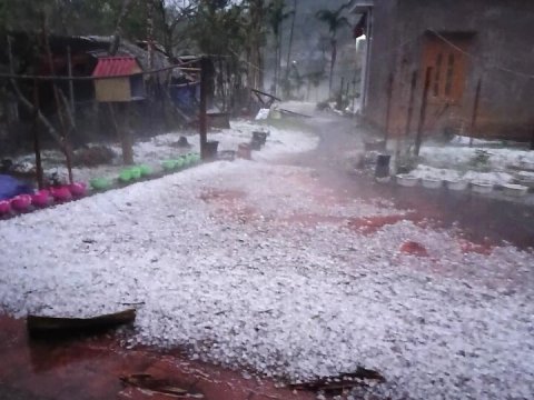 Ảnh bài viết