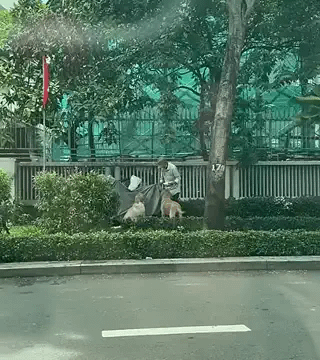 Ảnh bài viết