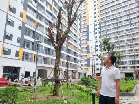 Ảnh bài viết
