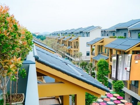 Ảnh bài viết