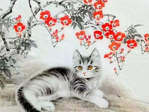 Ảnh bài viết
