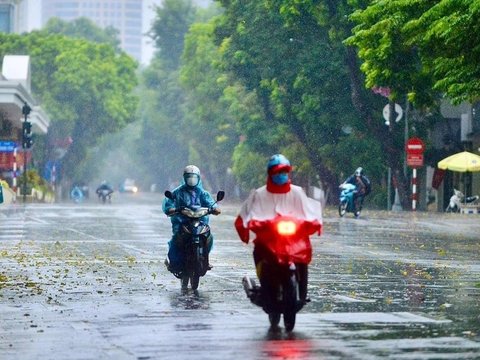 Ảnh bài viết