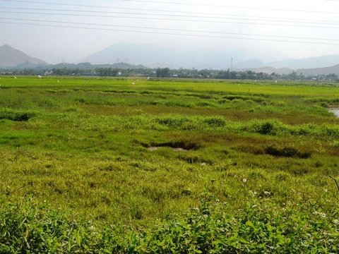 Bộ Tài chính nói gì về đề xuất đánh thuế đất bỏ hoang gấp 7 lần đất ở?