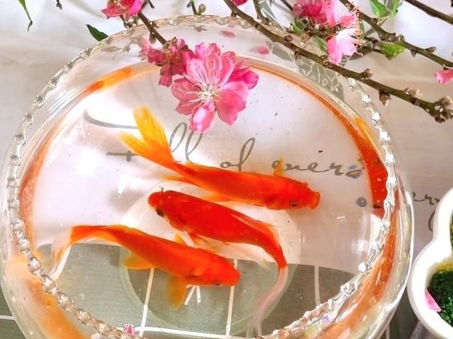 Đọc nhanh tin nổi bật 1029157