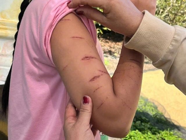 Đọc nhanh bài viết #1029248