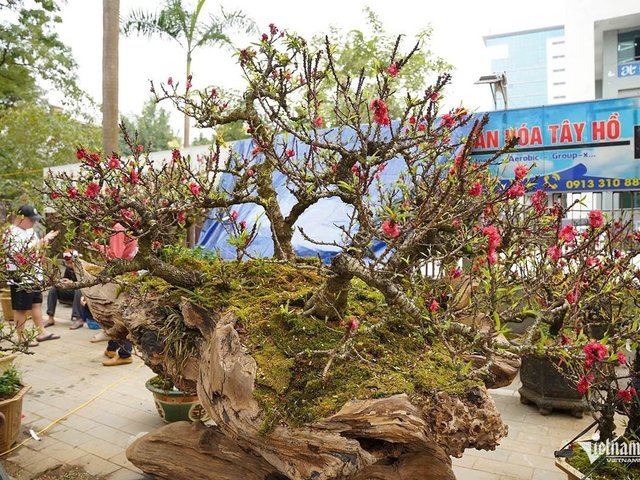 Đọc nhanh tin nổi bật 1029300