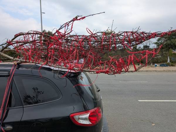 Đọc nhanh tin nổi bật 1029698