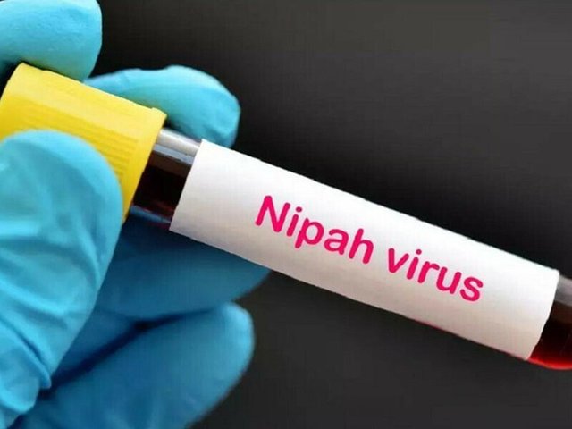 Đọc nhanh bài viết #1029814