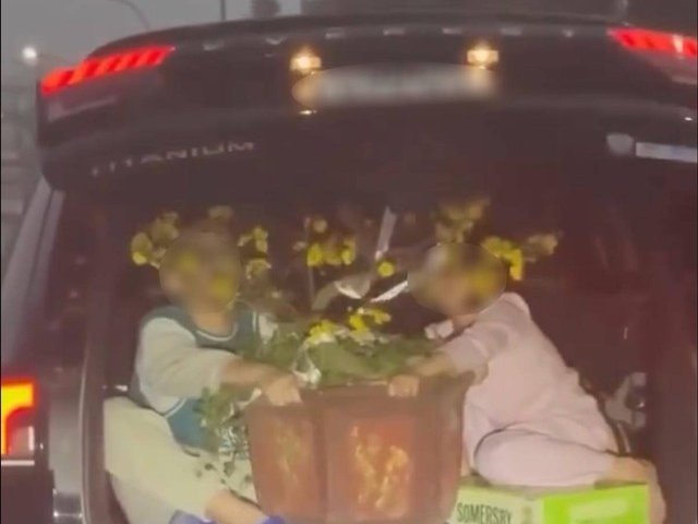 Đọc nhanh bài viết #1029888