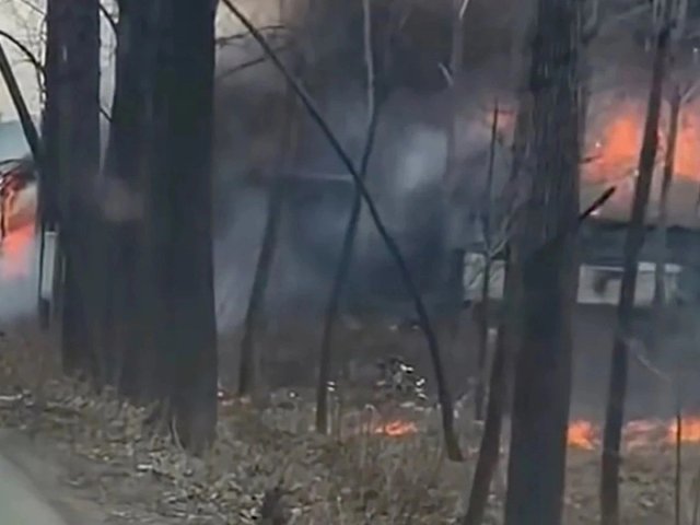 Đọc nhanh bài viết #1030065