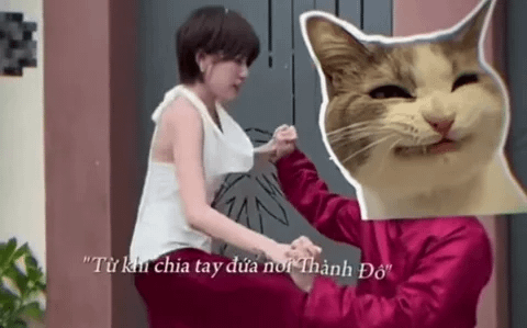 Đọc nhanh bài viết #1030241