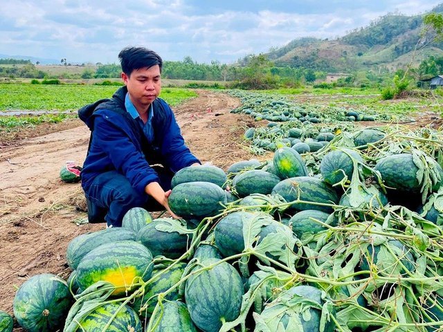 Đọc nhanh bài viết #1032598