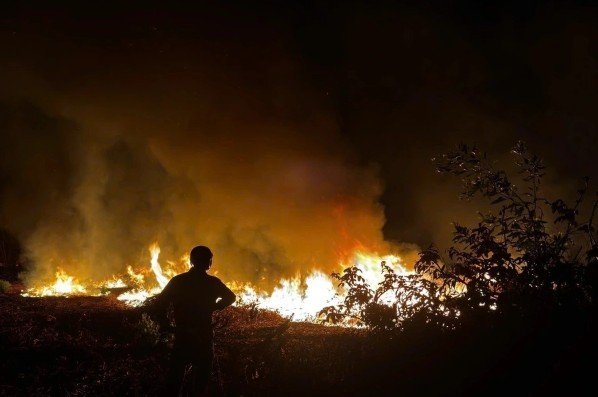 Đọc nhanh bài viết #1033250