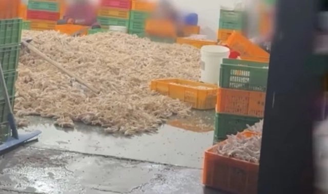 Đọc nhanh bài viết #1033522