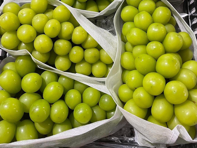 Đọc nhanh bài viết #1033714