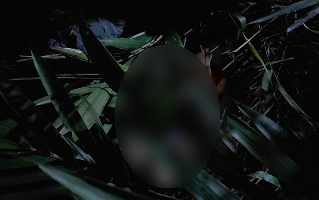 Đọc nhanh tin nổi bật 1034095