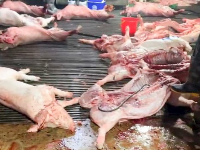 Đọc nhanh tin nổi bật 1034602