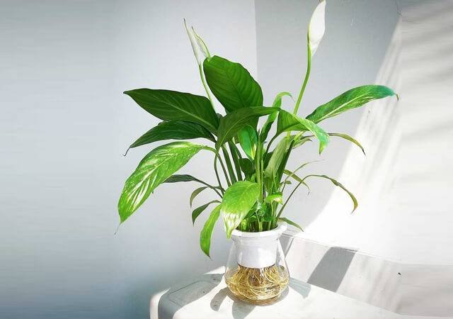 Đọc nhanh bài viết #1034794