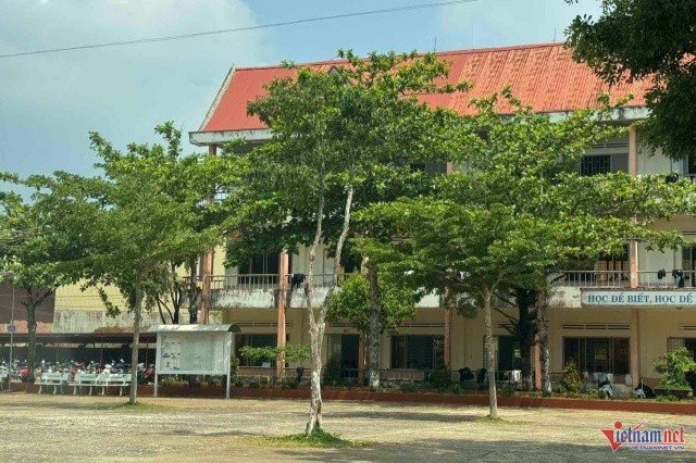 Đọc nhanh bài viết #1034800