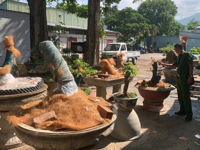 Đọc nhanh bài viết #1035355