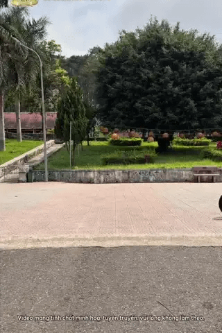 Đọc nhanh tin nổi bật 1035490