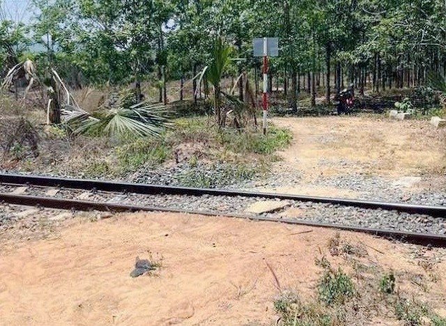 Đọc nhanh bài viết #1035644