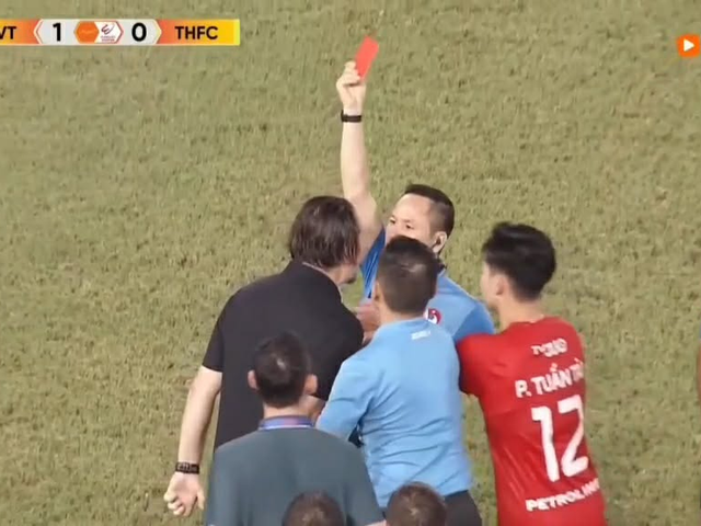 Đọc nhanh bài viết #1035902