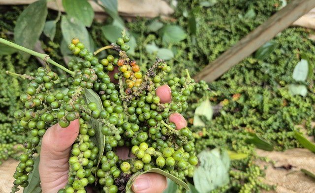 Đọc nhanh bài viết #1036114