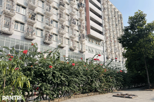 Đọc nhanh bài viết #1036738