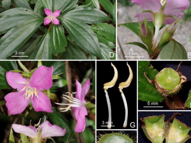 Đọc nhanh tin nổi bật 1036752