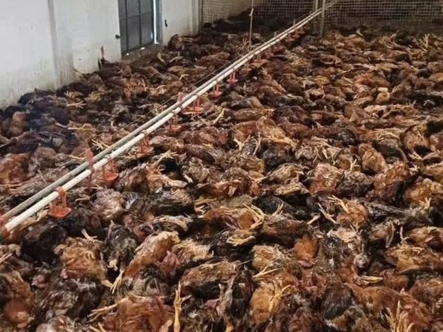 Đọc nhanh bài viết #1037257