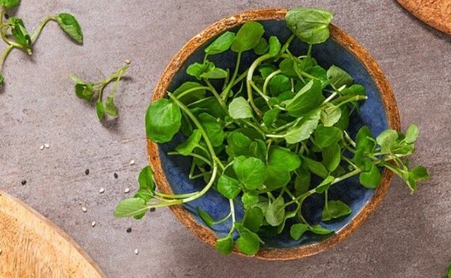 Đọc nhanh bài viết #1037284