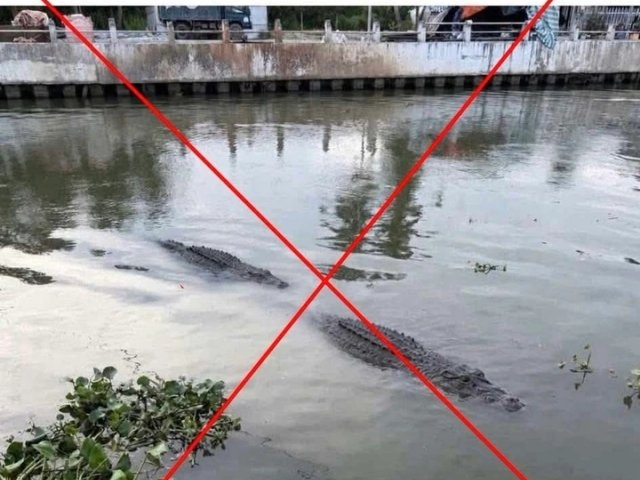 Đọc nhanh tin nổi bật 1037776
