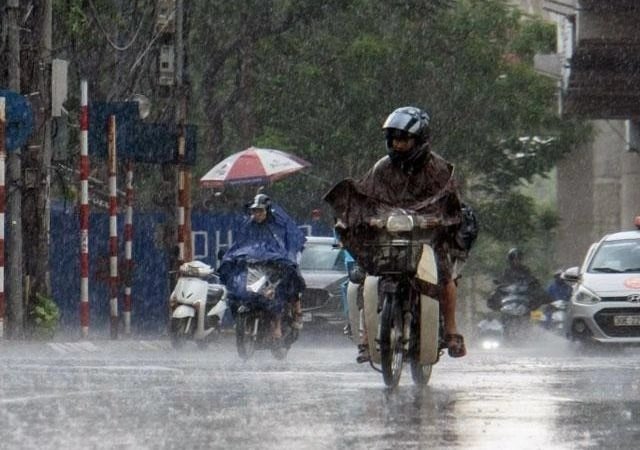Đọc nhanh bài viết #1038339
