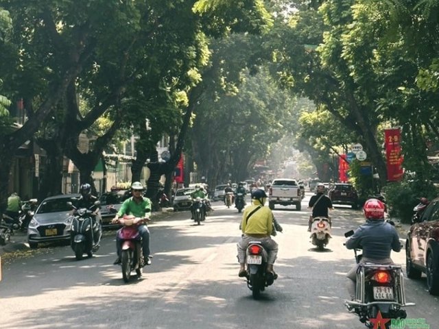 Đọc nhanh bài viết #1180234
