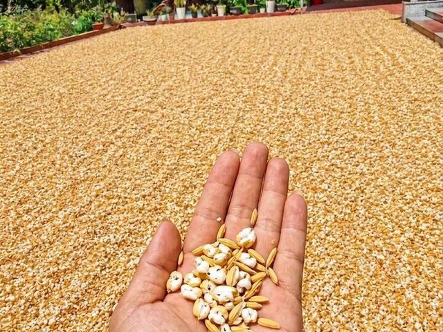 Đọc nhanh tin nổi bật 1180290