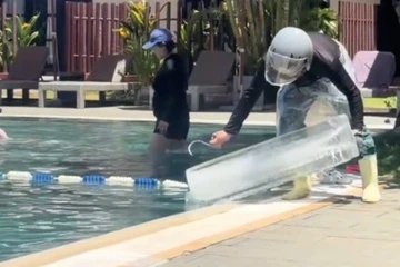 Đọc nhanh bài viết #1180633