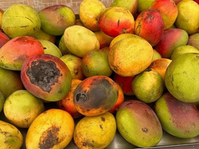 Đọc nhanh bài viết #1181121