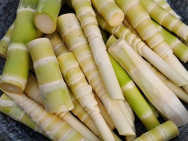 Đọc nhanh bài viết #1181286