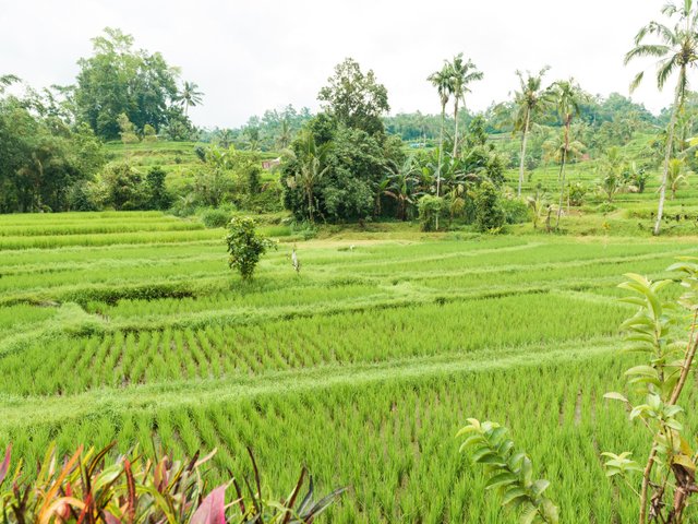 Đọc nhanh bài viết #1182160