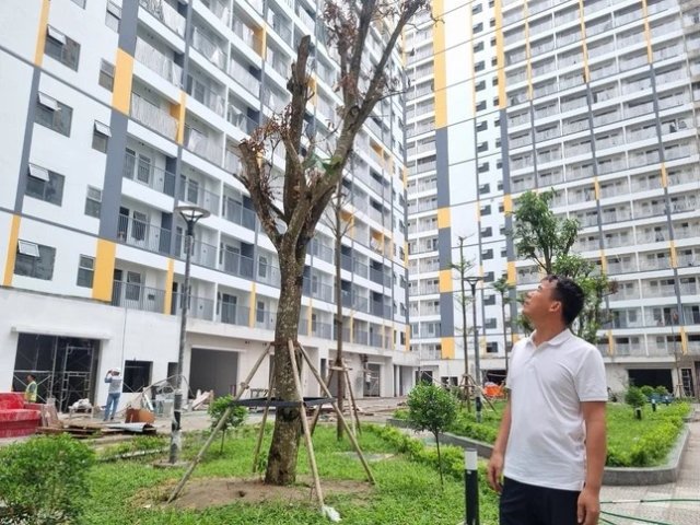 Đọc nhanh tin nổi bật 1182401