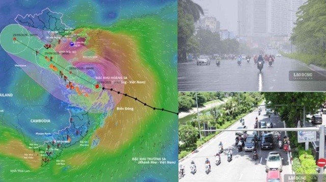 Đọc nhanh bài viết #1183627